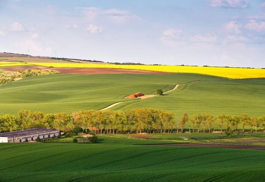 El amoníaco verde se une a la agricultura inteligente