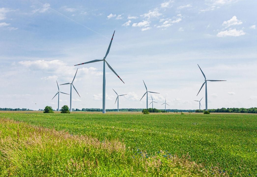 Construyendo juntos un futuro más verde