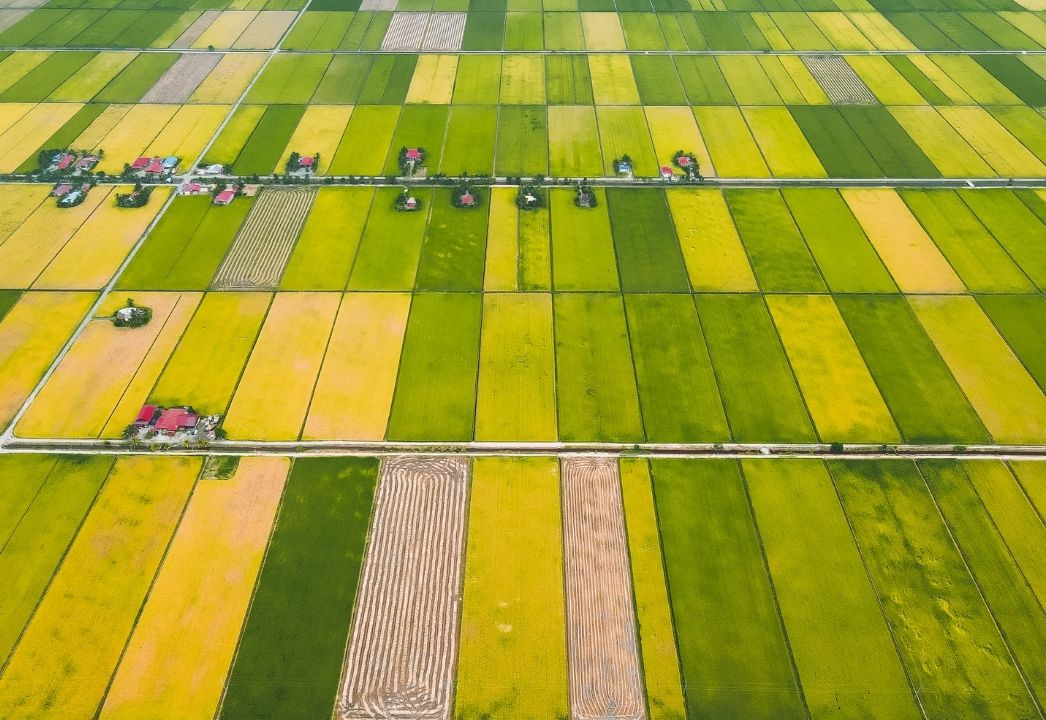 ARAM–KAPSOM debate sobre fertilizantes verdes