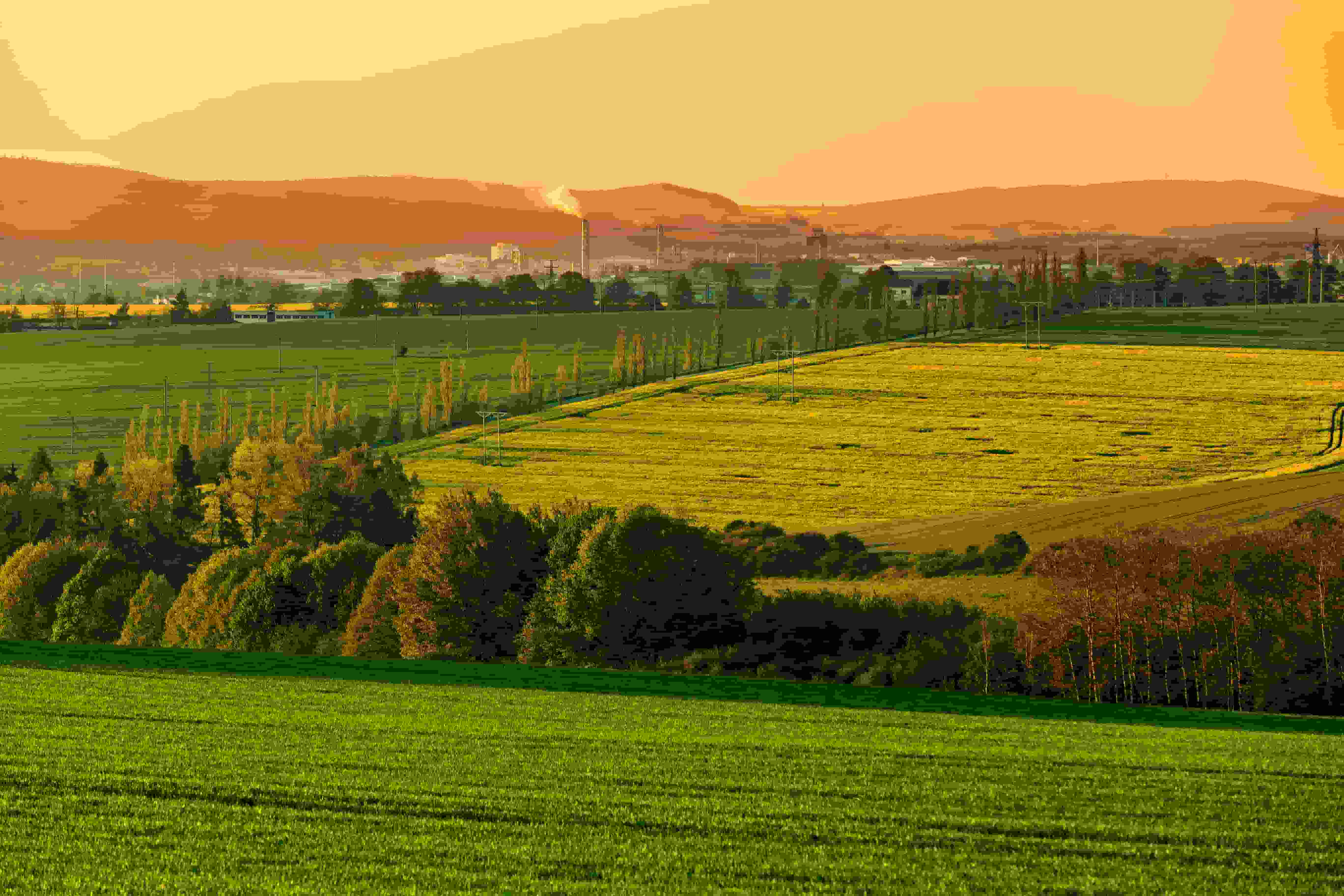 Concluida la capacitación sobre amoníaco sintético de KAPSOM