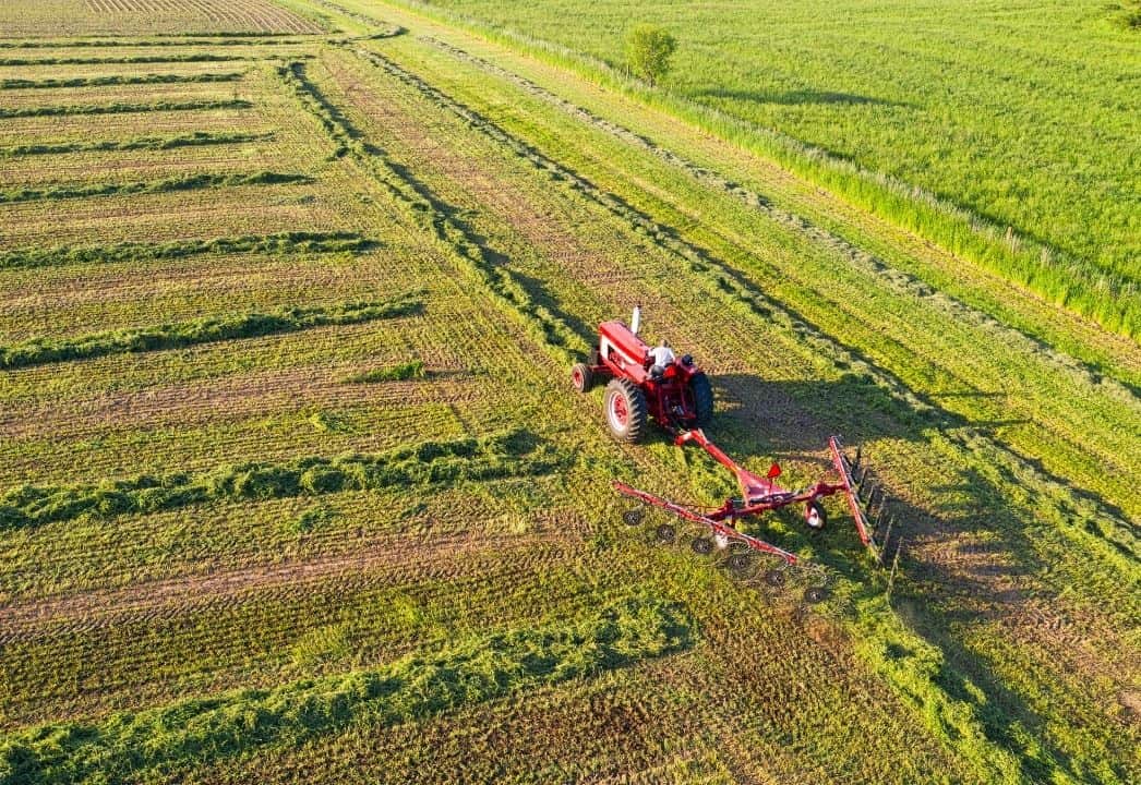 El amoníaco verde impulsa el desarrollo agrícola sostenible