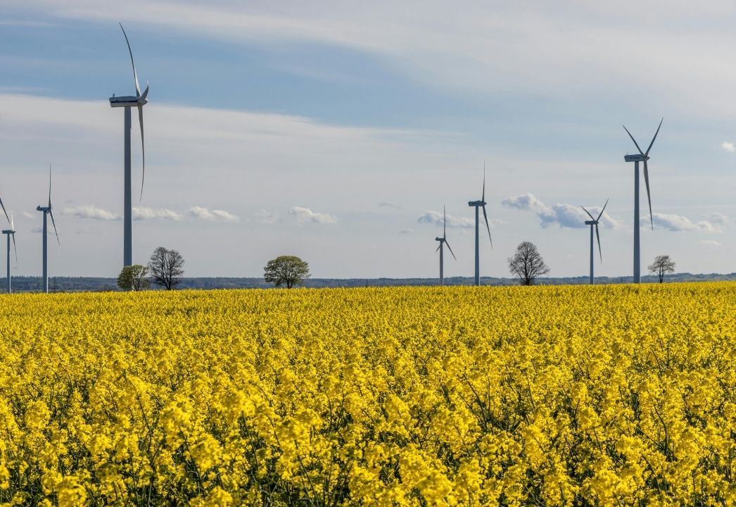 La tecnología CCUS contribuye a la reducción de las emisiones de carbono