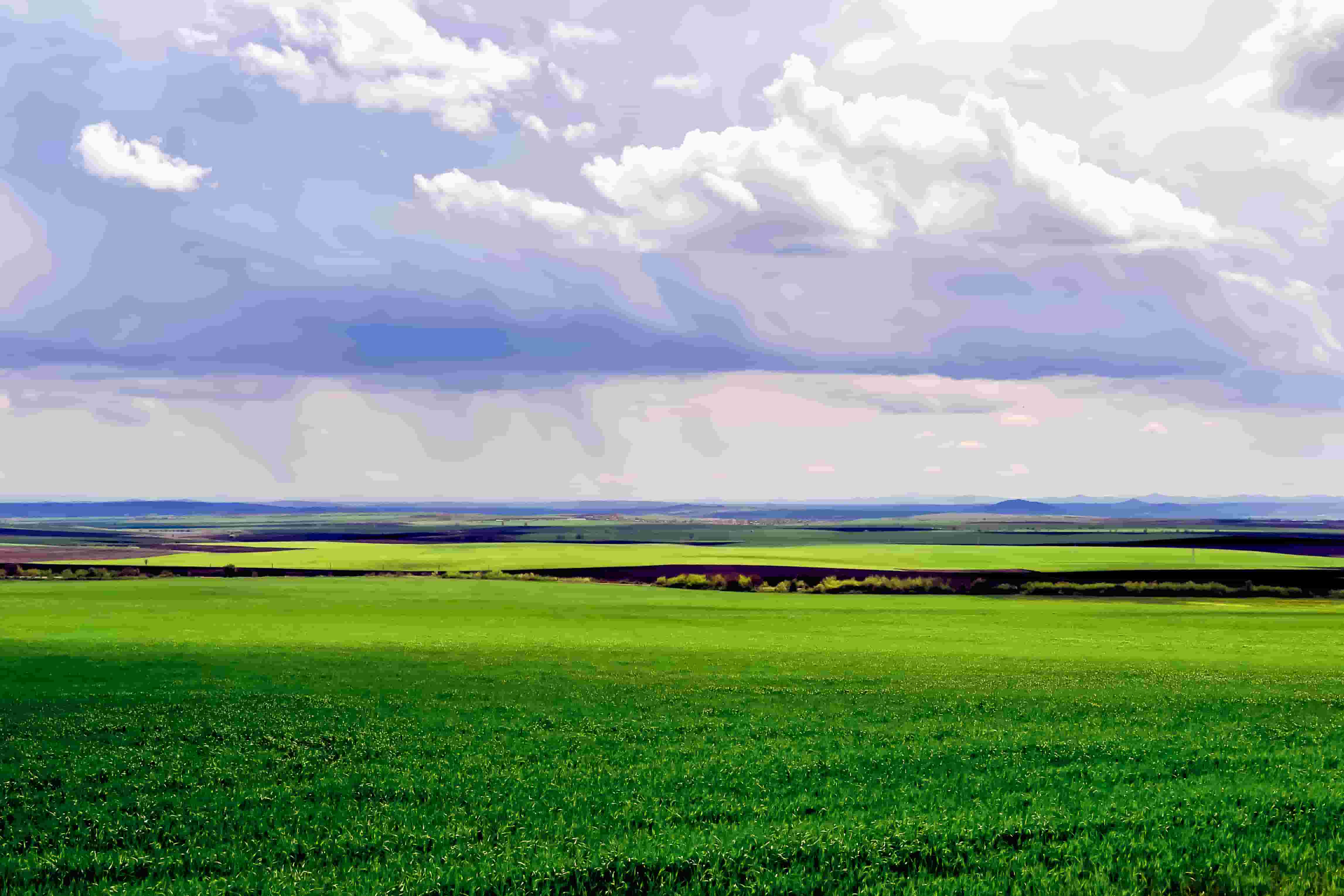 El primer proyecto de amoníaco verde en Sudamérica
