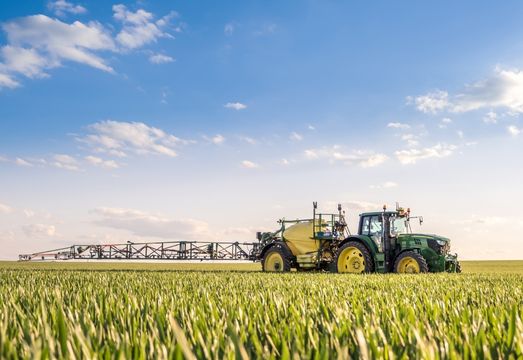 Un camino resiliente en un mercado global volátil.